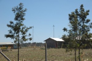 windmills 4